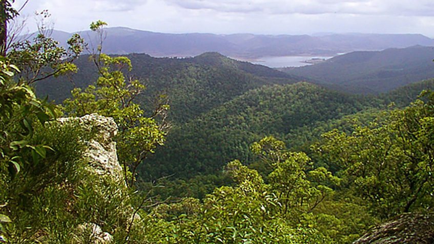 Mount Mee