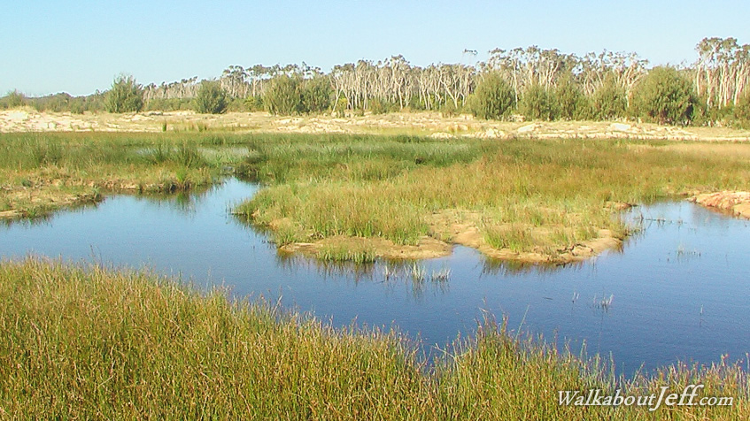 Spitfire Creek