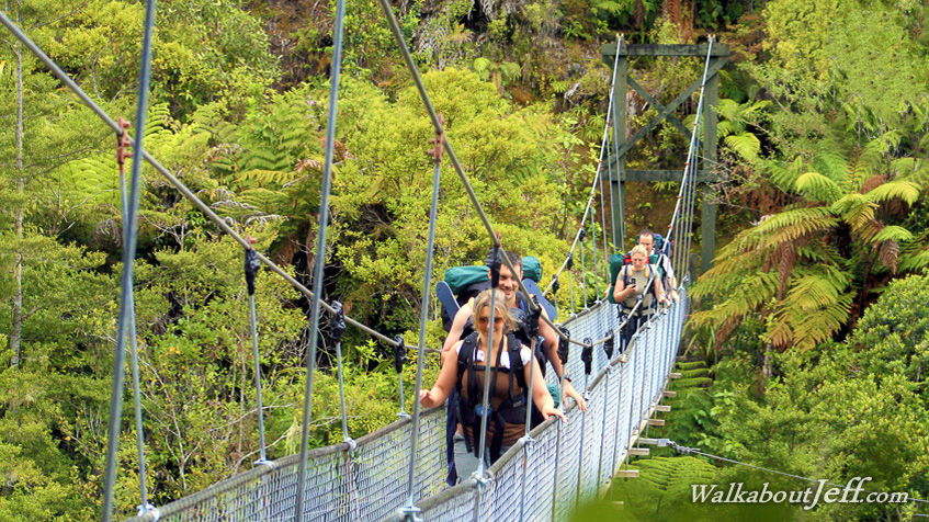 Swingbridge over Falls River