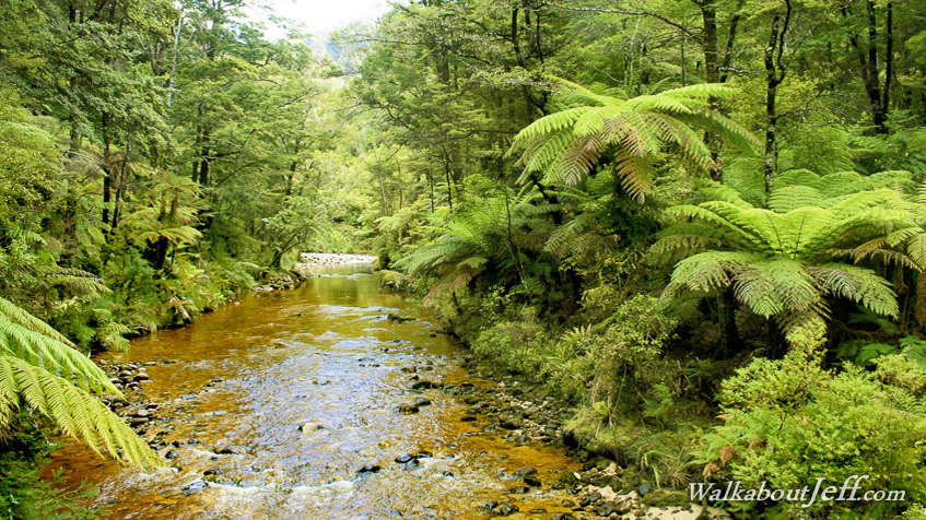 Torrent River