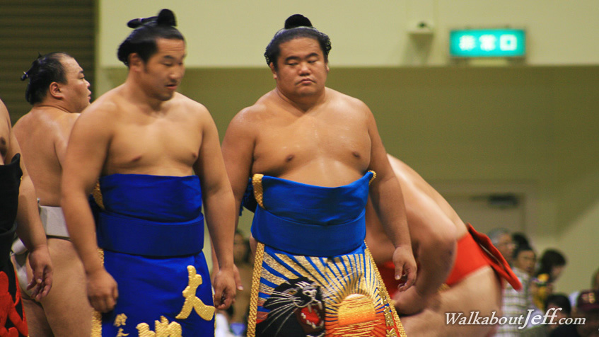 Sumo wrestlers