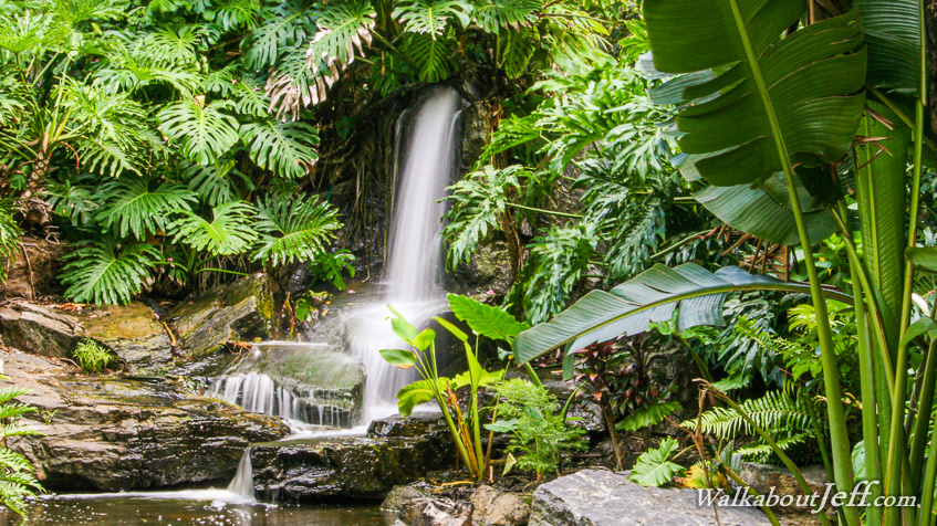 Waterfall in the gardens