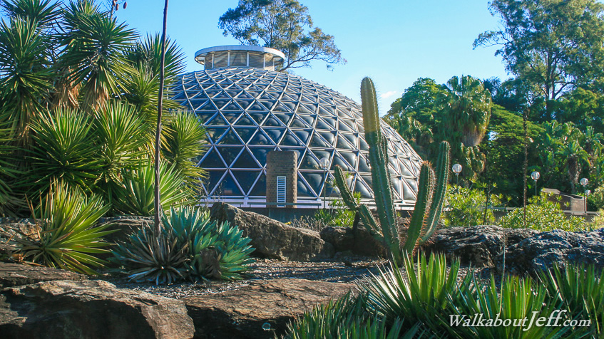 The dome