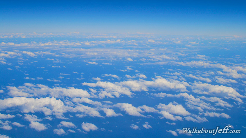 Tasman Sea low cloud