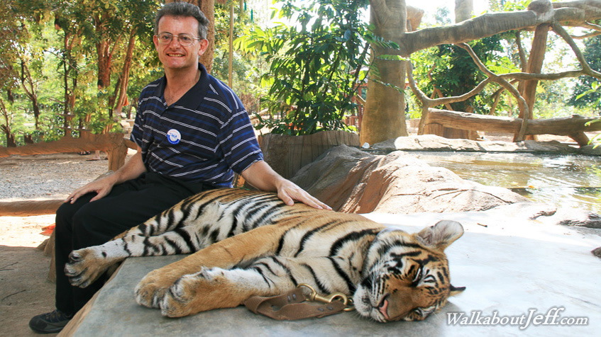 The tiger temple