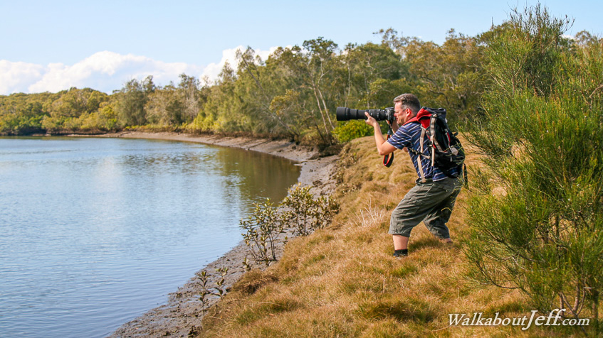 Boondall Wetlands in winter