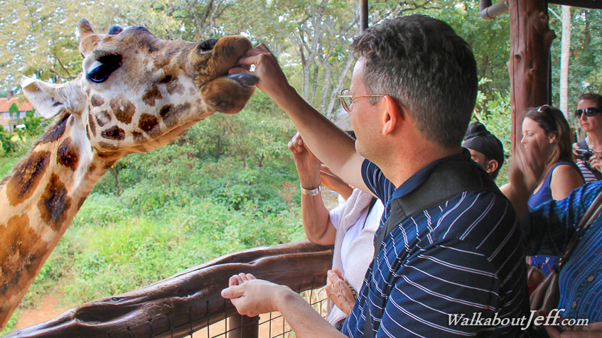 Giraffe