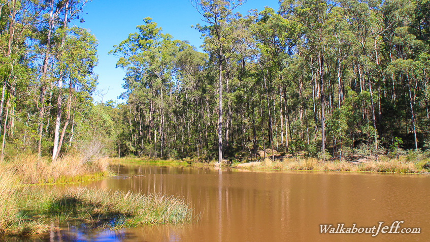 Bunyaville Forest Park