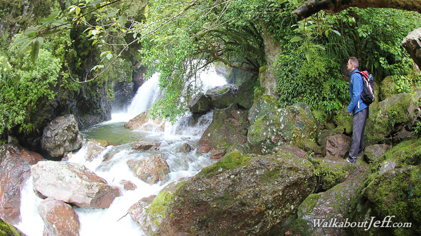 Sharplin Falls