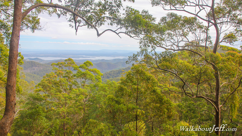 Wivenhoe Lookout