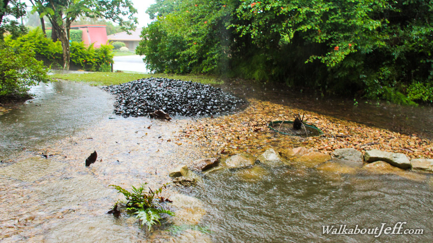Cyclone Marcia