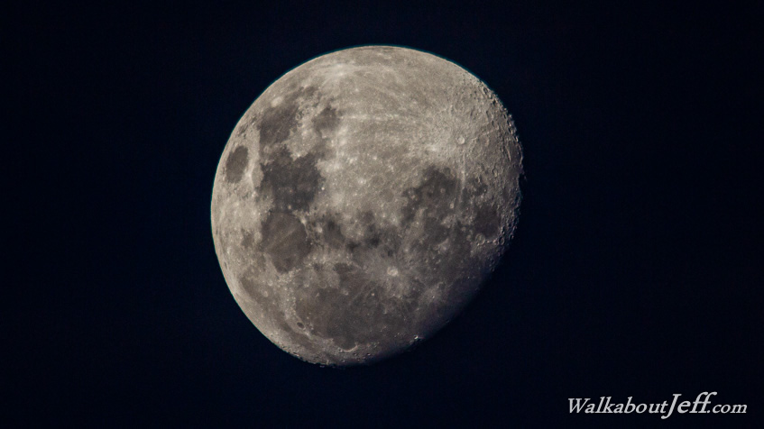 Gibbous moon