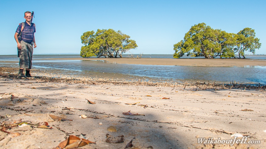 Beachmere mangroves