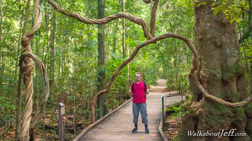 Mary Cairncross Reserve