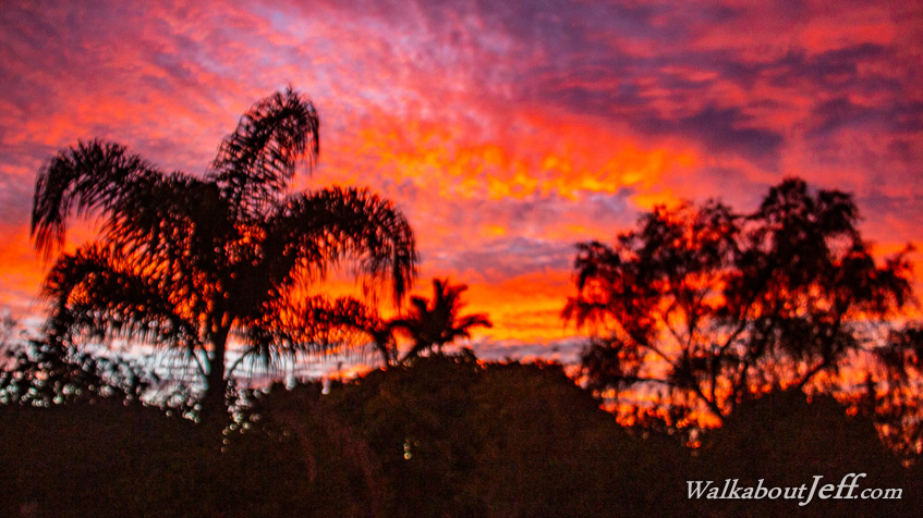 Red Sunrise
