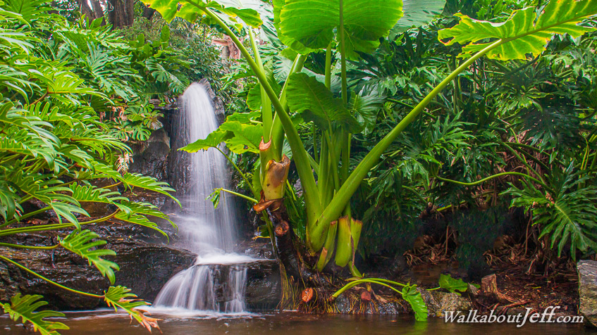Gardens Waterfall