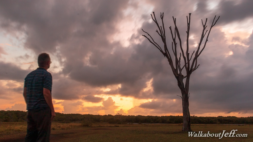 Tingalpa Creek sunrise