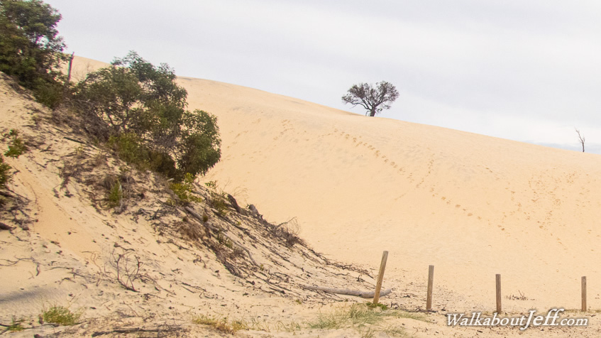 Big Sandhills