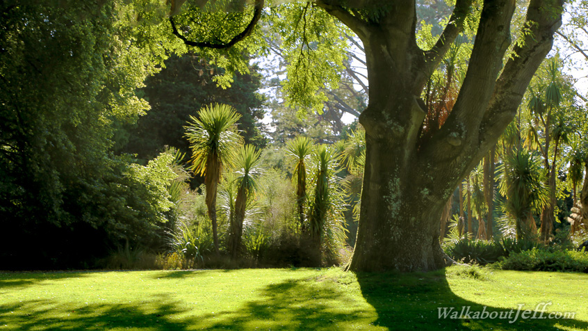 Christchurch Botanical Gardens