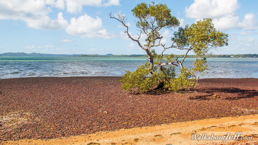 Mackleay Island