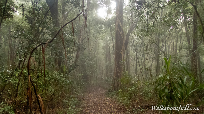 Morning mist on the tops