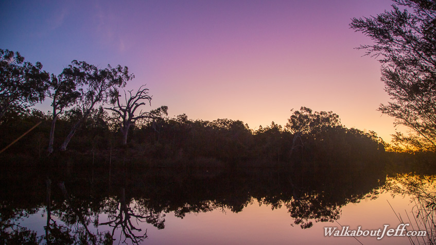 Noosa River Everglades