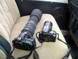 Two of Jeff's cameras at Masai Mara, Kenya.