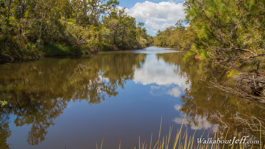 Neebs Waterhole 