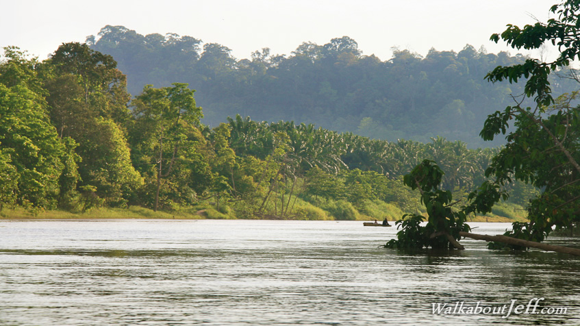 Ranau to Kinabatangan