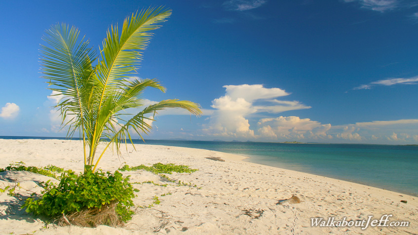 Turtle Island