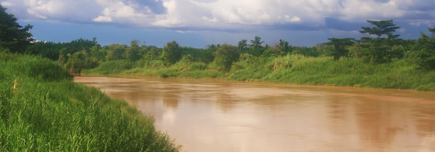 Borneo
