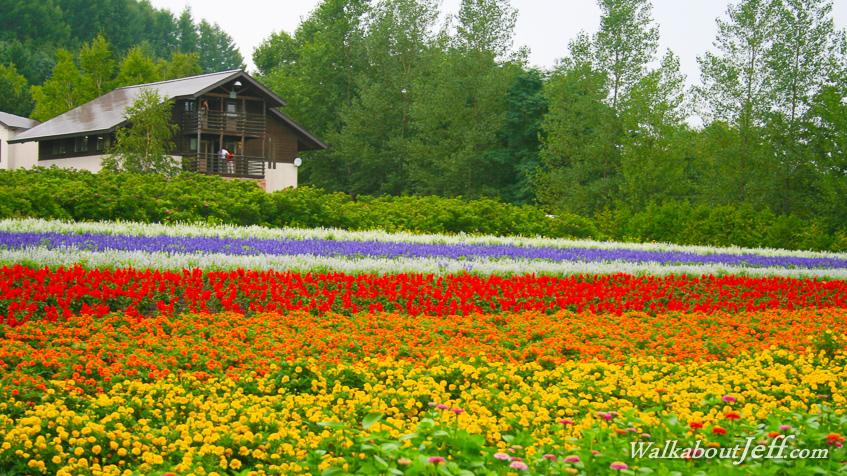 Furano