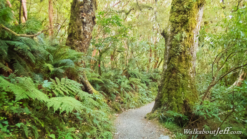 Lake Howden to Te Anau 