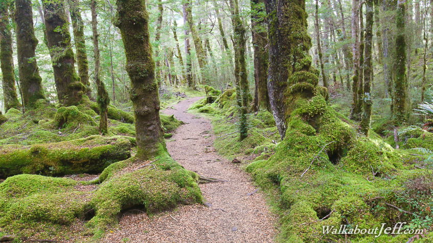 Moturau to Iris Burn 
