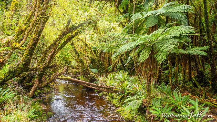 Port William to North Arm 