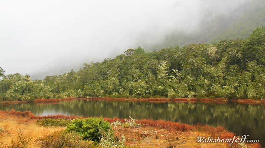 Christchurch to Murchison 