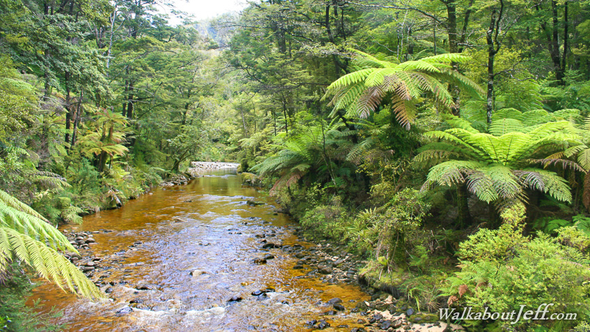 Bark Bay to Anchorage 