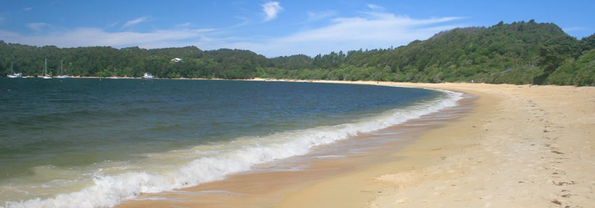 Northern South Island 