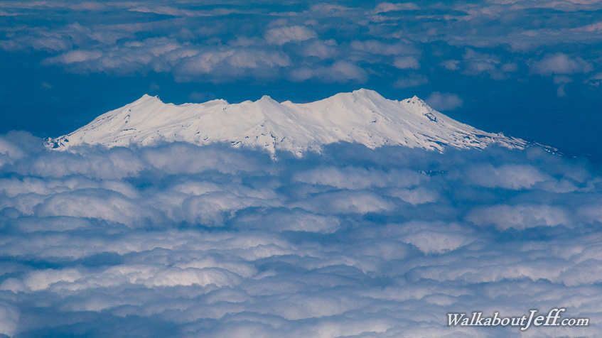 Wellington to Brisbane