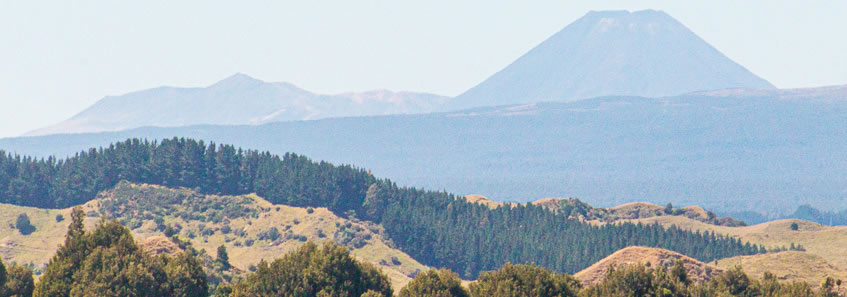 Northern South Island 