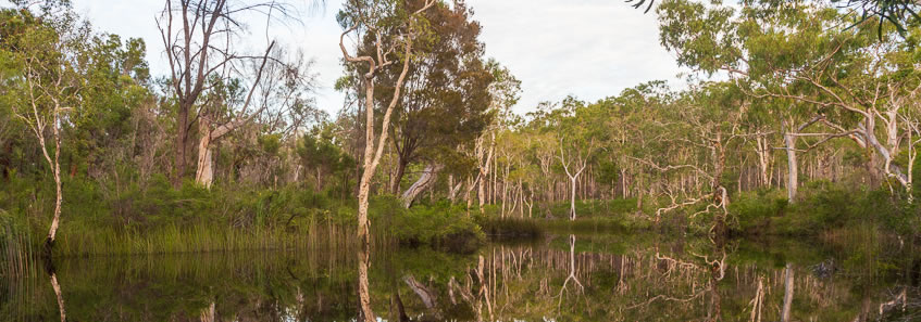4th leg - Noosa Everglade