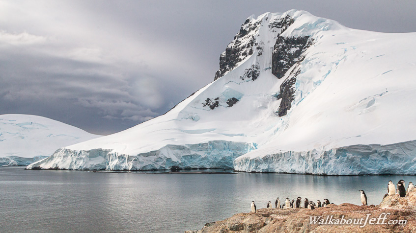 Wilhelmia Bay and Palaver Point 