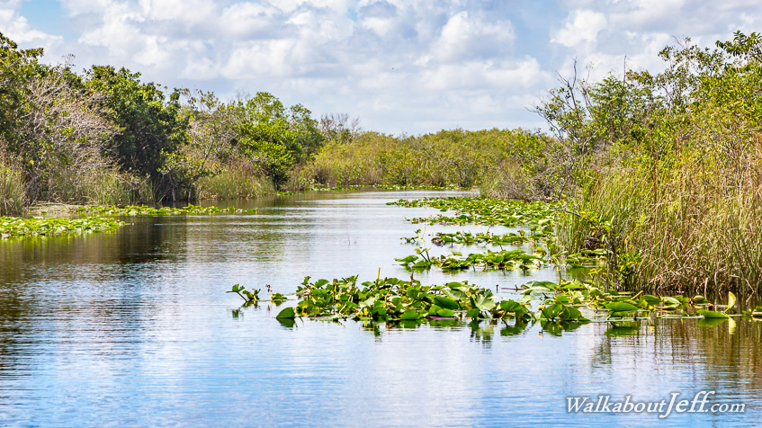 The Everglades
