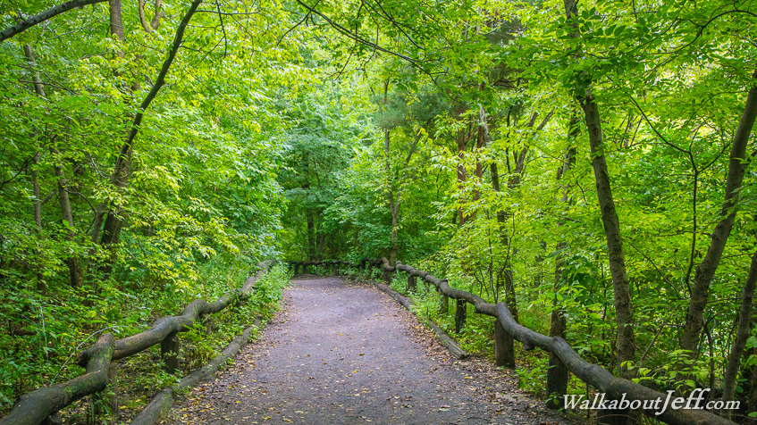Central Park and Upper Manhattan
