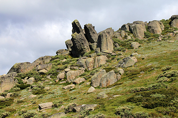 Rocky outcrop