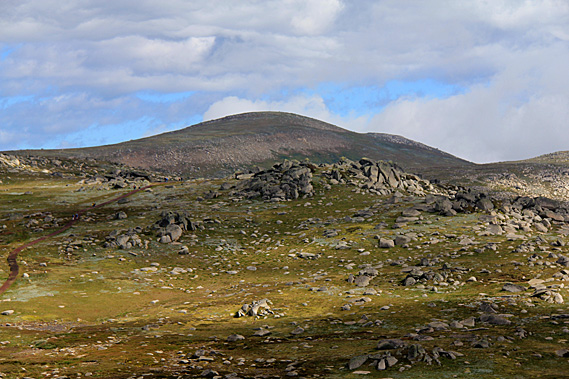 Mount Kosciuszko