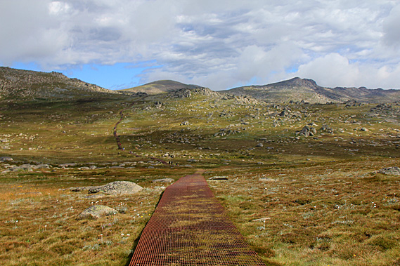 Descending into the gully