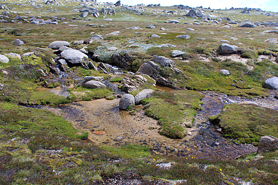 Headwaters of the Snowy River
