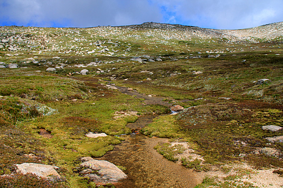 Headwaters of the Snowy River