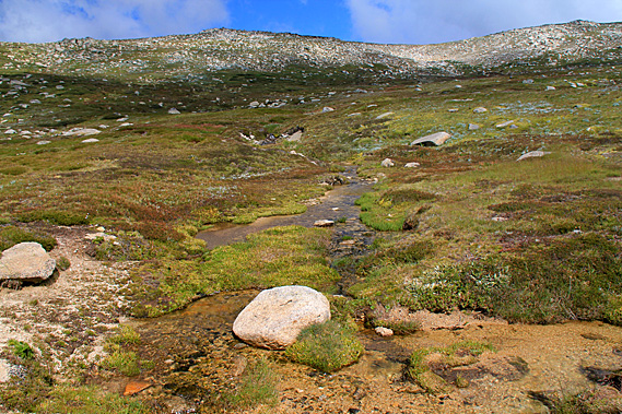 Headwaters of the Snowy River
